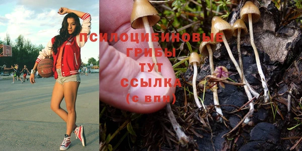 соль курить ск Вязьма