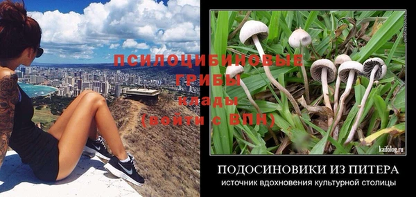 мдпв Верея