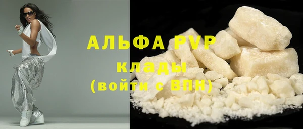 скорость Вяземский