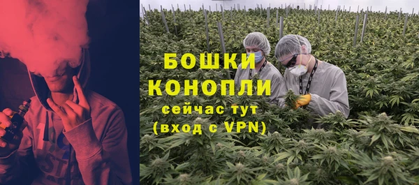 мдпв Верея