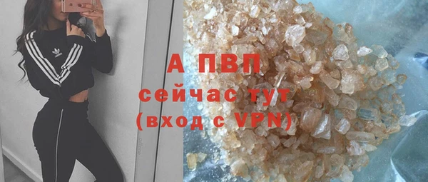 мдпв Верея