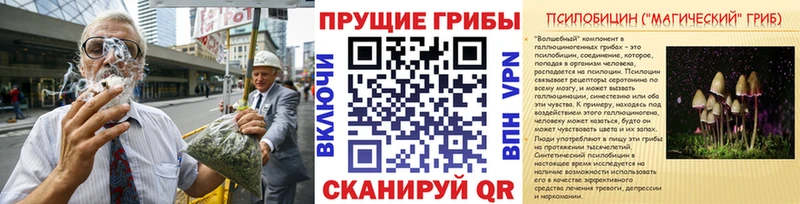 где продают наркотики  Дмитриев  Псилоцибиновые грибы прущие грибы 